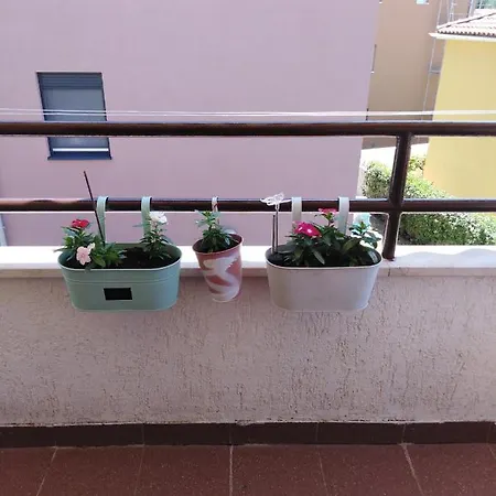 Apartment Luciana Zadar