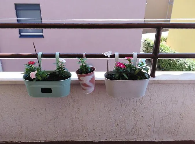 Apartmán Luciana Zadar