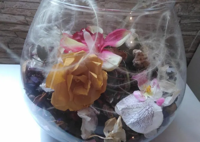 Luciana דירה זאדאר