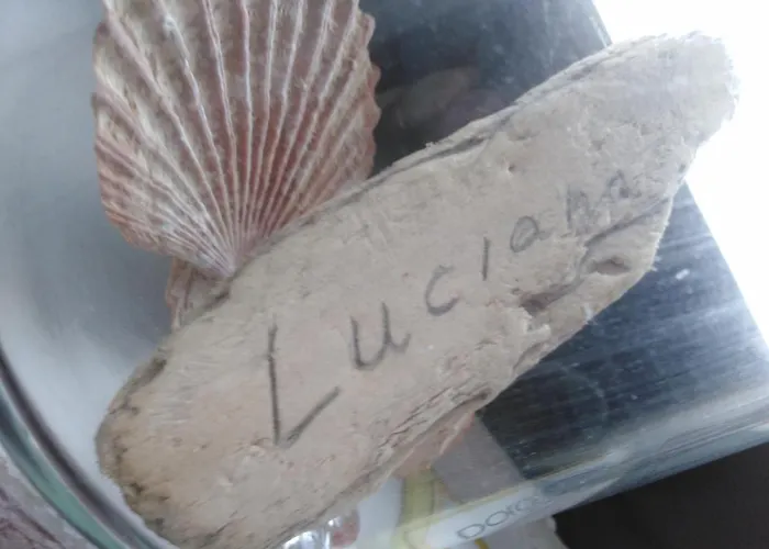 Lejlighed Luciana